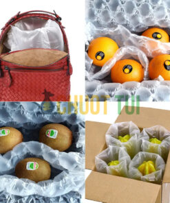 Máy thổi túi khí NA-L1